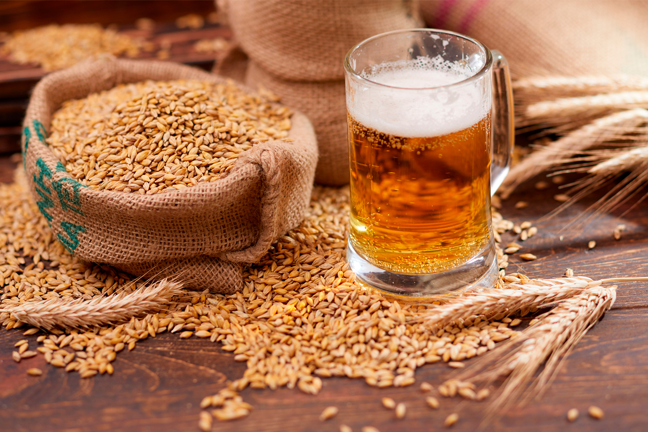 El origen de la cerveza: una historia de cereal, tiempo y fermentación